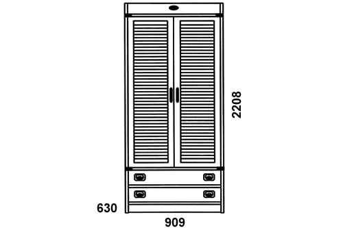 F2211 Шкаф для одежды, 2 двери, 2 ящика | Детская мебель Флинт | Дива-мебель